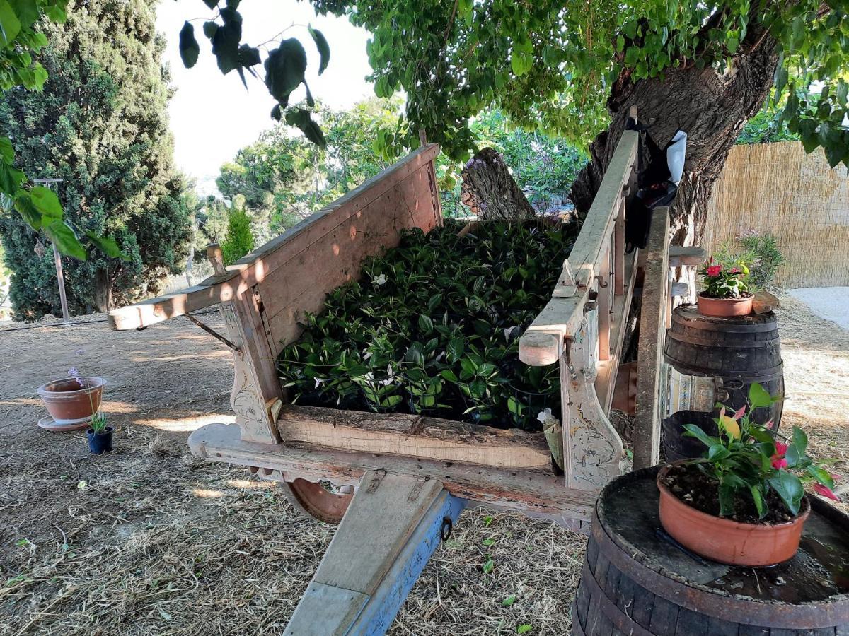 Tenuta Coppa Zuccari Читта Сань Анджело Экстерьер фото