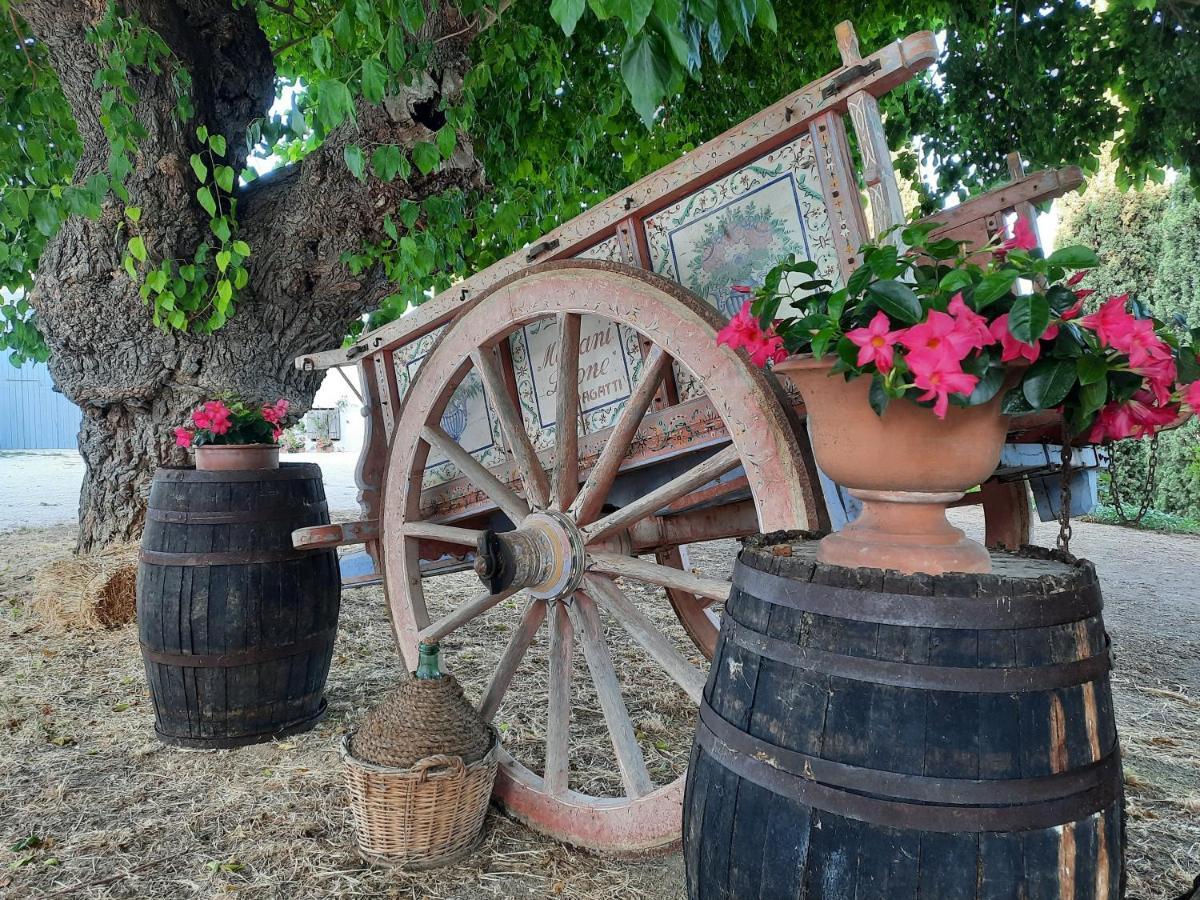 Tenuta Coppa Zuccari Читта Сань Анджело Экстерьер фото